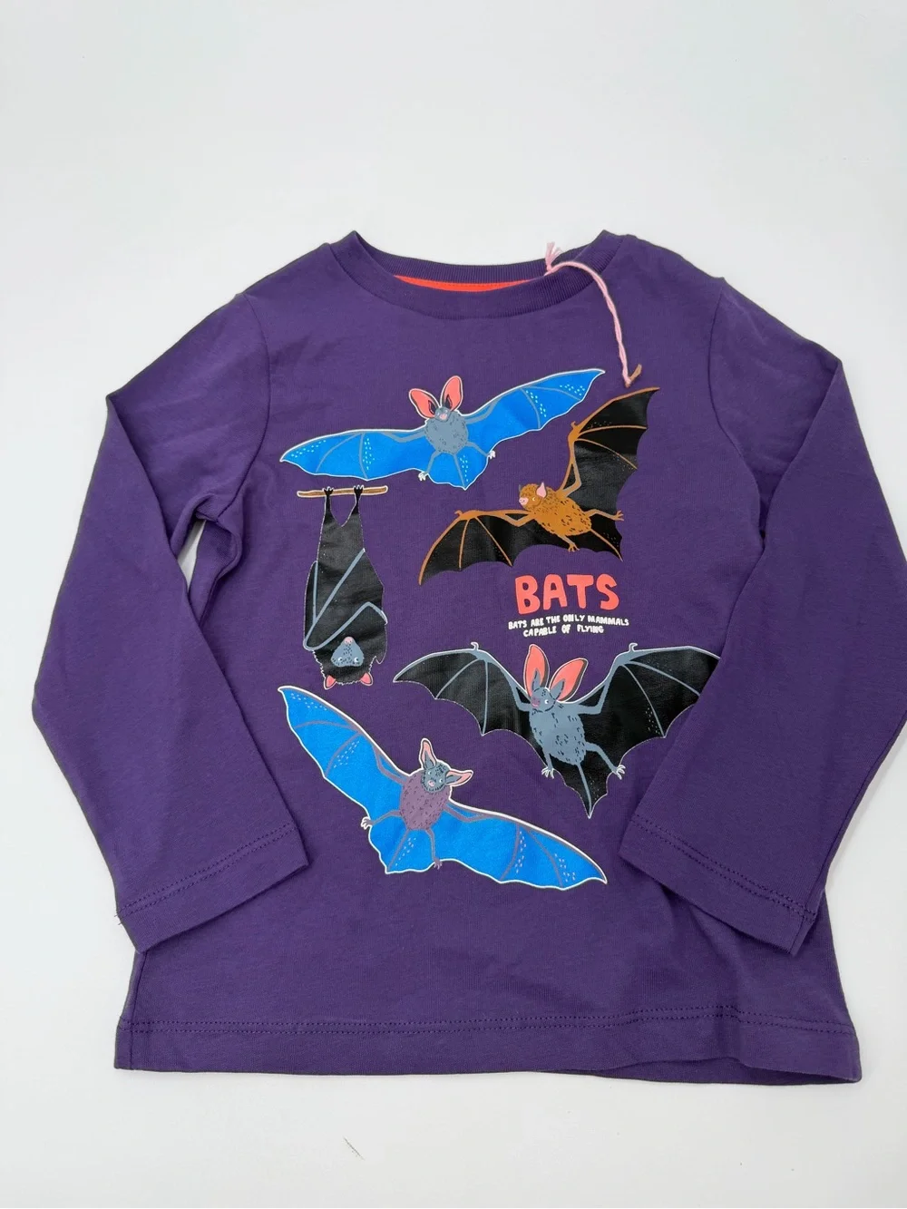 Mini Boden bats tee 2-3